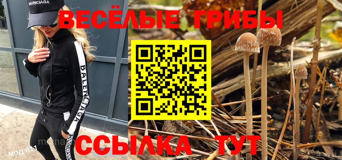 купить наркотик  Галлюциногенные грибы GOLDEN TEACHER  Вход с VPN  Карталы 